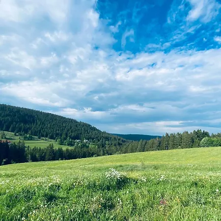 Appartamento Weideblick In Blasiwald Im Schoenen Suedschwarzwald