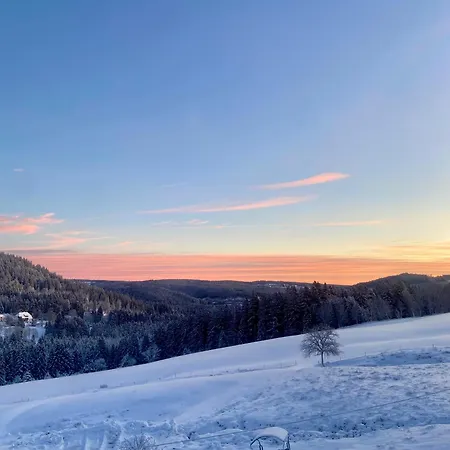 Weideblick In Blasiwald Im Schoenen Suedschwarzwald Schluchsee