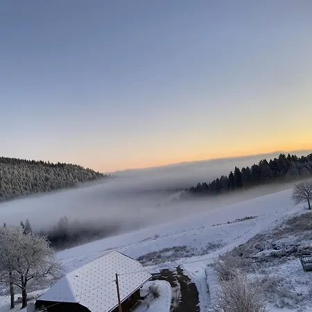 Weideblick In Blasiwald Im Schoenen Suedschwarzwald Appartamento *