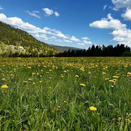 Weideblick In Blasiwald Im Schoenen Suedschwarzwald