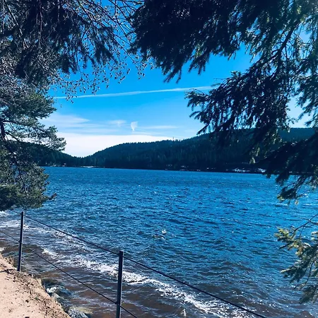 Weideblick In Blasiwald Im Schoenen Suedschwarzwald Appartamento Schluchsee