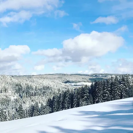 Weideblick In Blasiwald Im Schoenen Suedschwarzwald 슈룩흐제