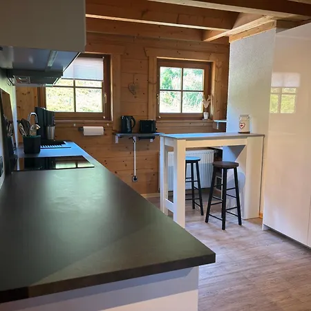 Weideblick In Blasiwald Im Schoenen Suedschwarzwald Appartamento *