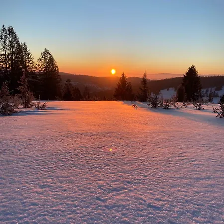 Weideblick * Schluchsee