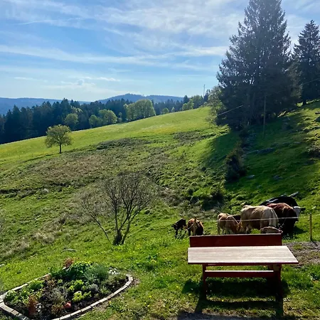 Apartment Weideblick