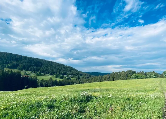 Apartamento Weideblick