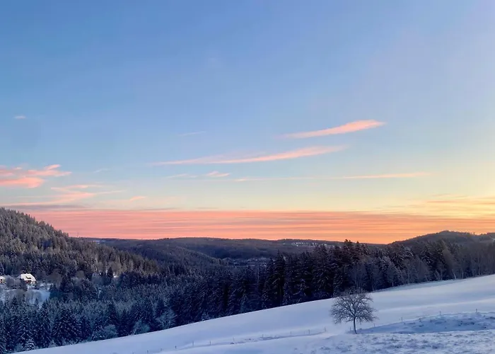 Weideblick Schluchsee