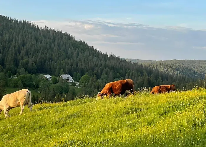 Weideblick * Schluchsee