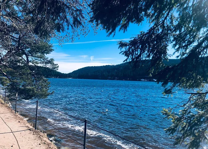 Weideblick Apartamento Schluchsee