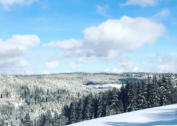 Weideblick Schluchsee