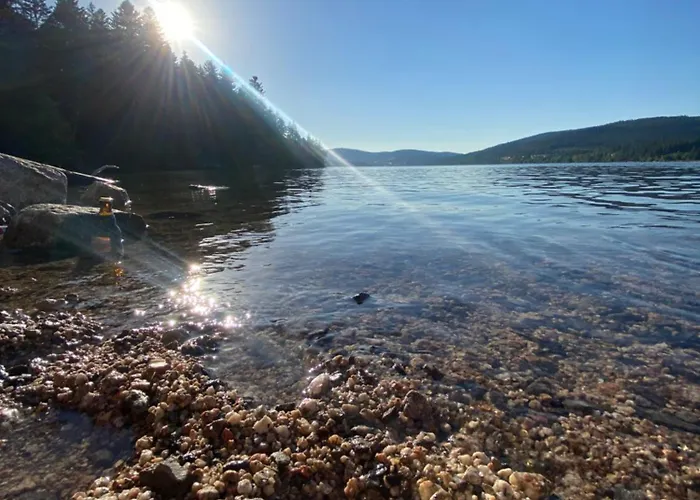 Weideblick * Schluchsee