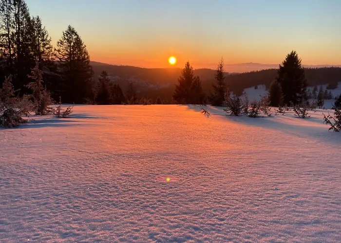 Weideblick * Schluchsee